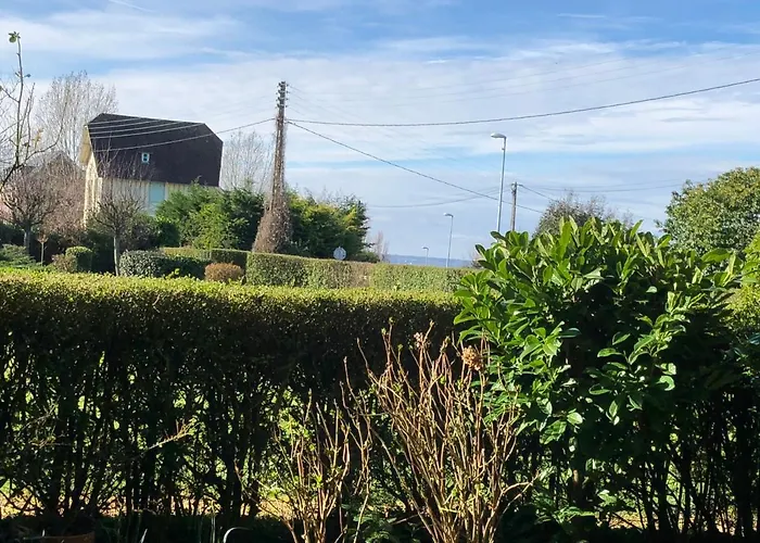 2 Pièces En Rez De Jardin -le Petit Nid à Apartamento Trouville-sur-Mer